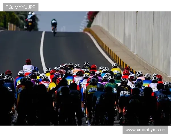 自行车选手比赛中的战术选择